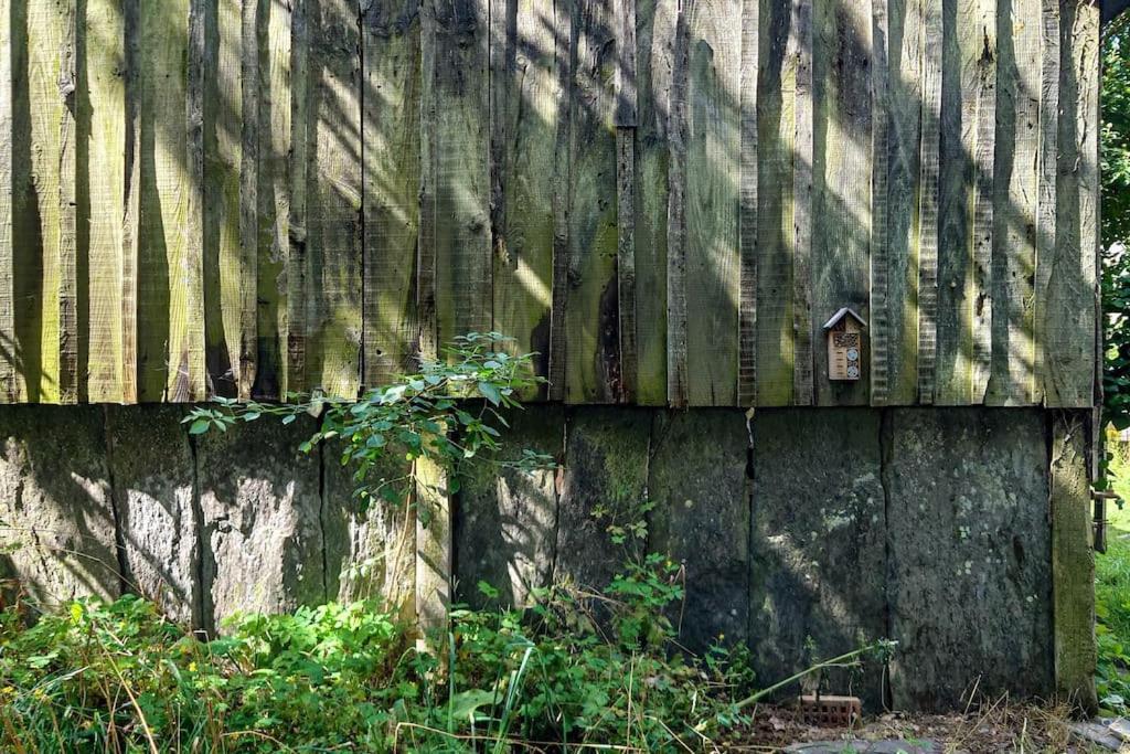 Longere Tinyhouse Avec Son Jardin-Foret Saint-Just  Zewnętrze zdjęcie